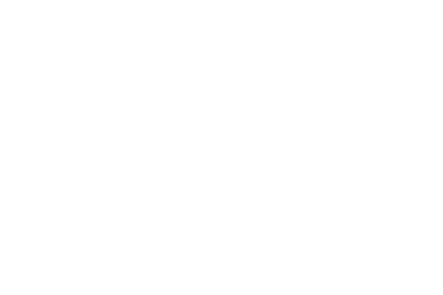 Taunus Vaperz Logo